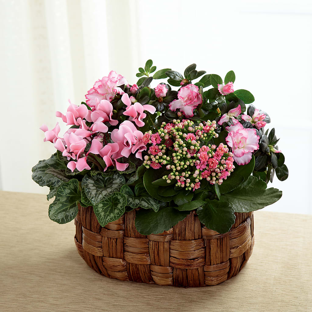 Pink Assortment – BLUEMOON FLORAL & GIFT, Denver CO