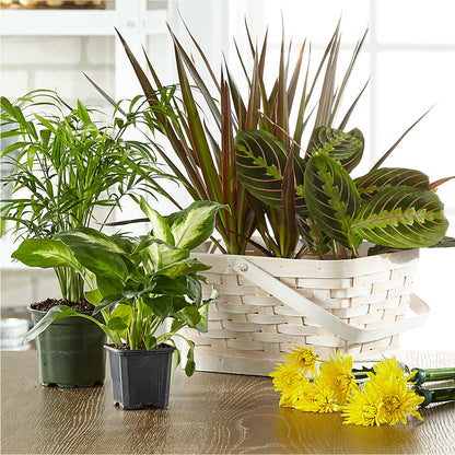 Florist Designed Blooming and Green Plants in a Basket – BLUEMOON FLORAL & GIFT, Denver CO
