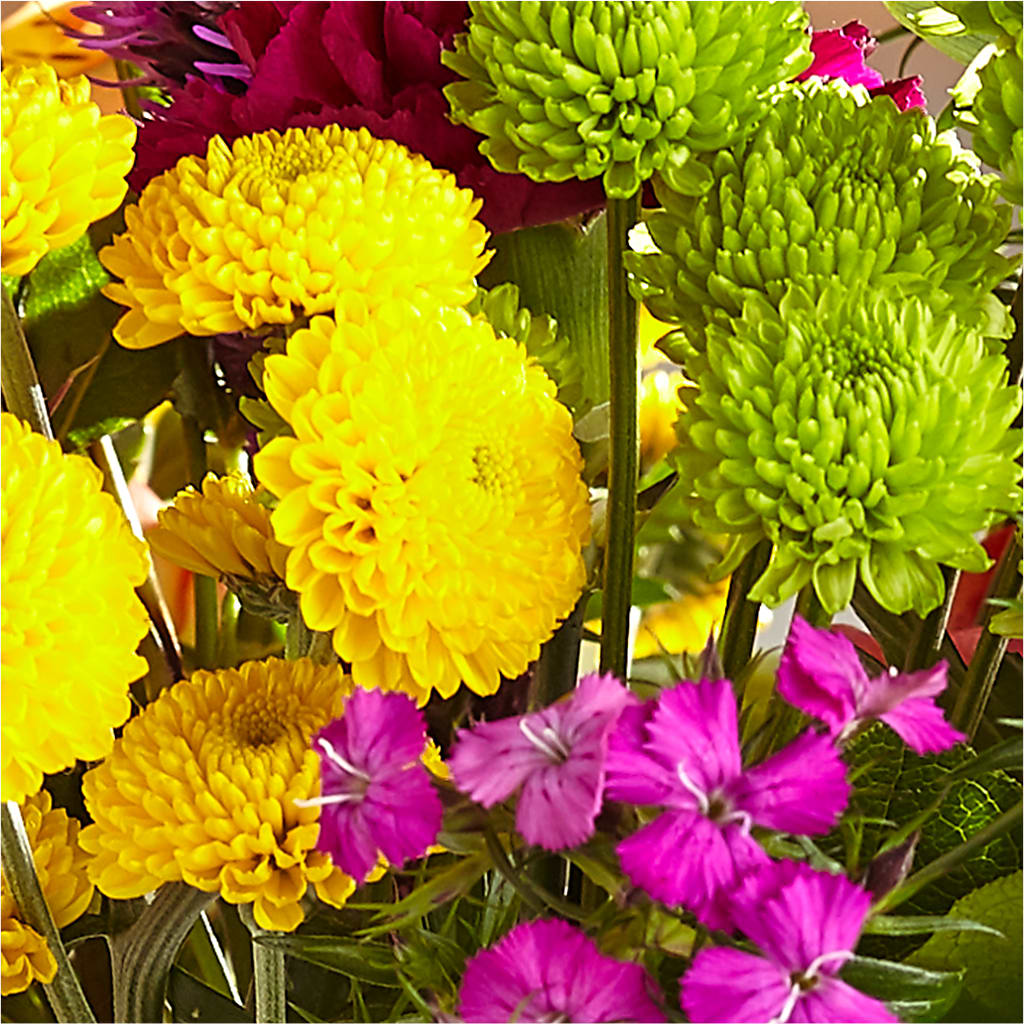 Bold & Bright – A Florist Original – BLUEMOON FLORAL & GIFT, Denver CO
