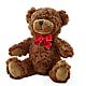 Adorable Plush Bear – BLUEMOON FLORAL & GIFT, Denver CO