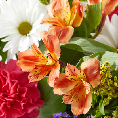 Oopsie Daisy Box Bouquet – BLUEMOON FLORAL & GIFT, Denver CO