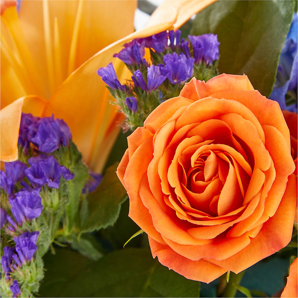 Radiant Citrus Box Bouquet – BLUEMOON FLORAL & GIFT, Denver CO