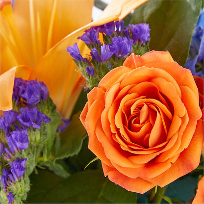 Radiant Citrus Box Bouquet – BLUEMOON FLORAL & GIFT, Denver CO