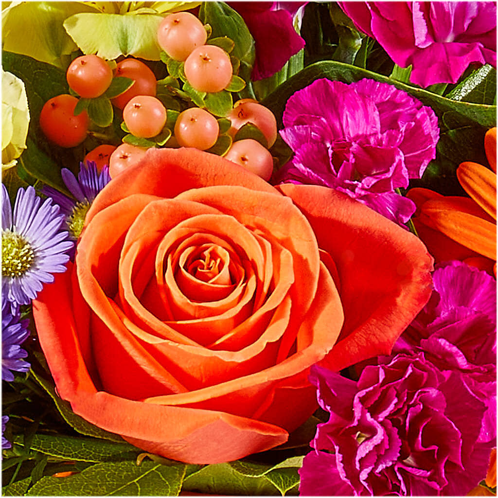 Tricks & Treats Pumpkin – BLUEMOON FLORAL & GIFT, Denver CO