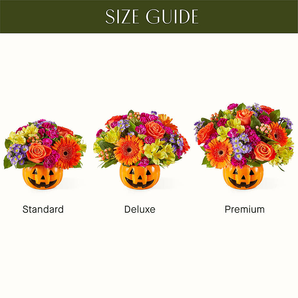Tricks & Treats Pumpkin – BLUEMOON FLORAL & GIFT, Denver CO
