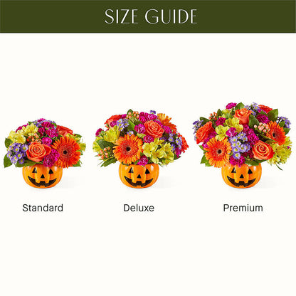Tricks & Treats Pumpkin – BLUEMOON FLORAL & GIFT, Denver CO