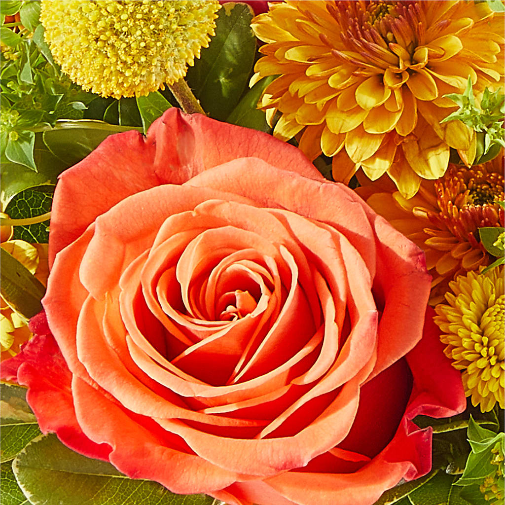 Gourdgeous Pumpkin – BLUEMOON FLORAL & GIFT, Denver CO