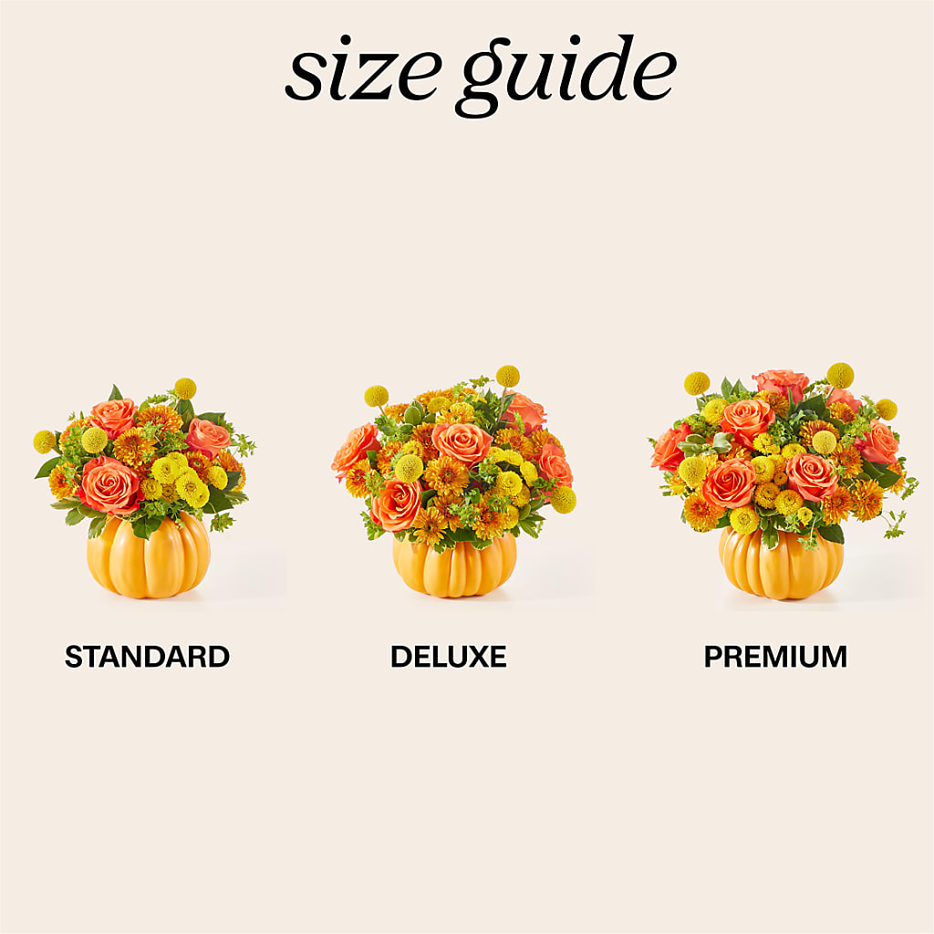 Gourdgeous Pumpkin – BLUEMOON FLORAL & GIFT, Denver CO