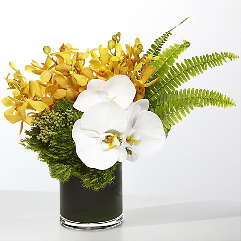 The Tropics – BLUEMOON FLORAL & GIFT, Denver CO