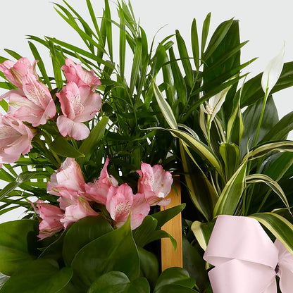 Living Spirit Dishgarden – BLUEMOON FLORAL & GIFT, Denver CO