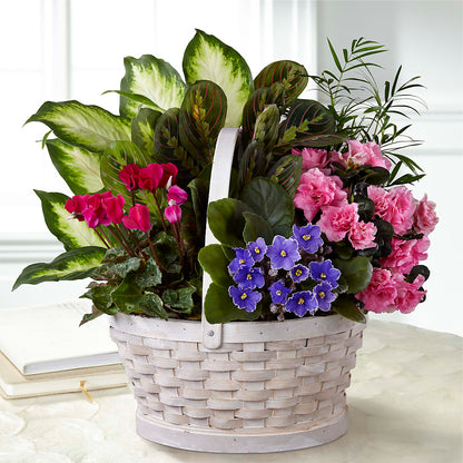 Peaceful Garden Planter – BLUEMOON FLORAL & GIFT, Denver CO