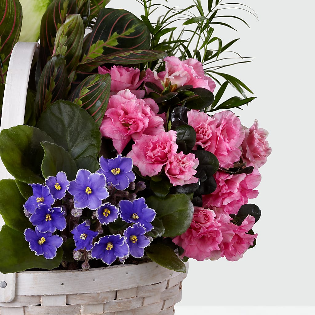 Peaceful Garden Planter – BLUEMOON FLORAL & GIFT, Denver CO