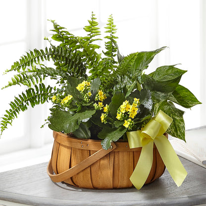Always Dear Dishgarden – BLUEMOON FLORAL & GIFT, Denver CO