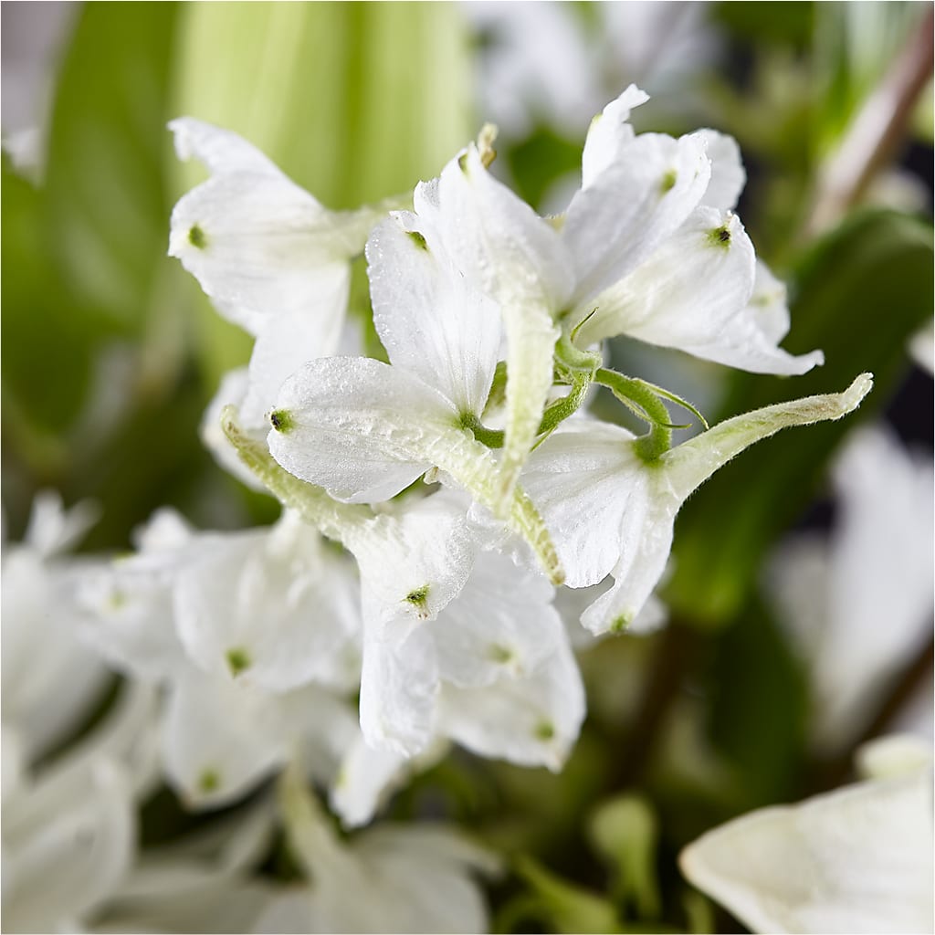 Classic Ivory – A Florist Original – BLUEMOON FLORAL & GIFT, Denver CO