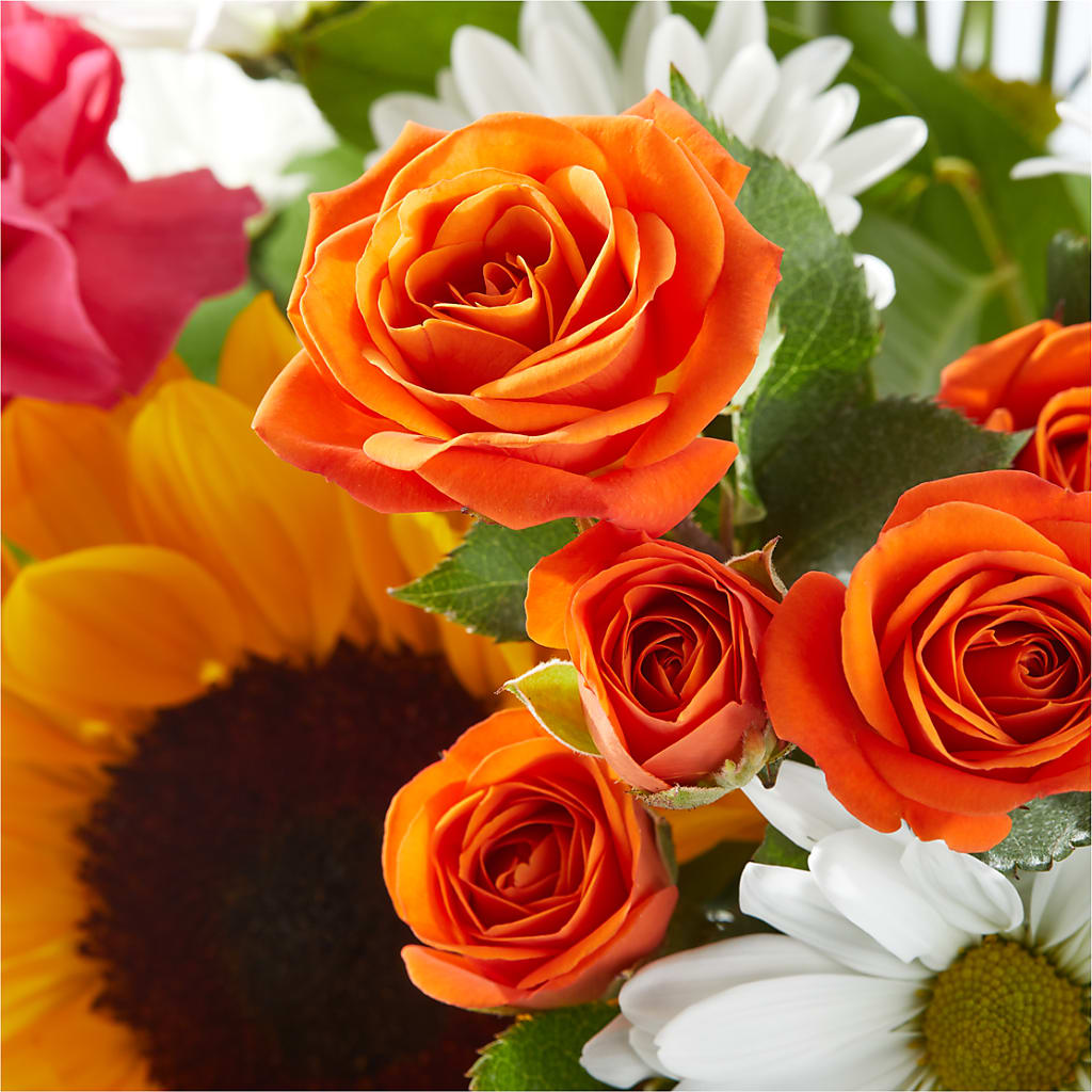 Sun-drenched Blooms Bouquet – BLUEMOON FLORAL & GIFT, Denver CO