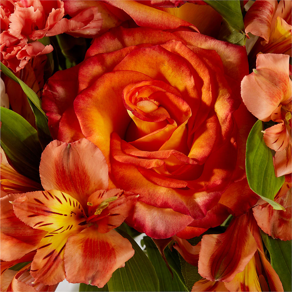 Apricot Glow Bouquet – BLUEMOON FLORAL & GIFT, Denver CO