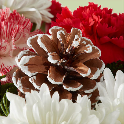 Candy Cane Lane Bouquet – BLUEMOON FLORAL & GIFT, Denver CO
