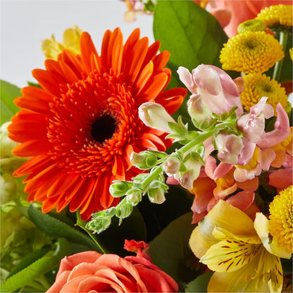 Autumn Sunshine Bouquet – BLUEMOON FLORAL & GIFT, Denver CO