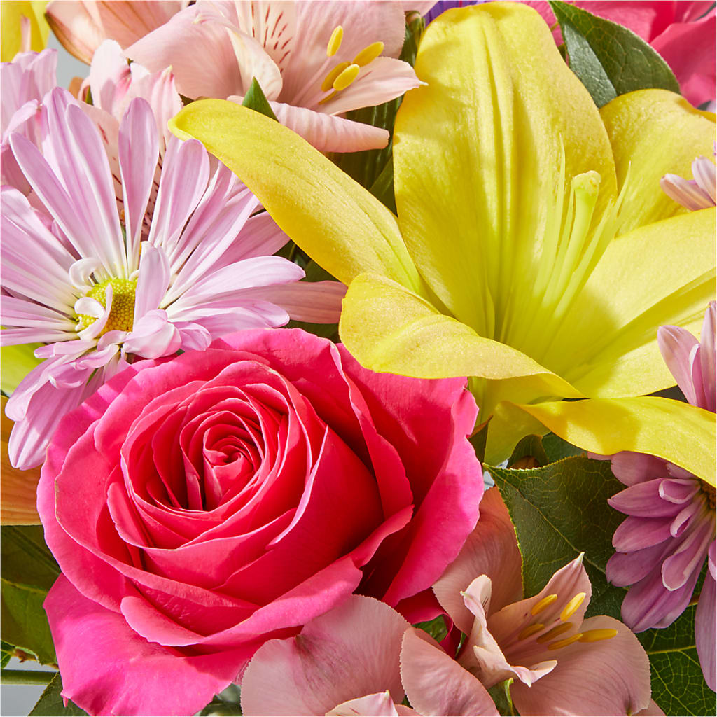 Sprinkles Bouquet – BLUEMOON FLORAL & GIFT, Denver CO