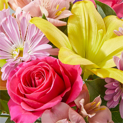 Sprinkles Bouquet – BLUEMOON FLORAL & GIFT, Denver CO