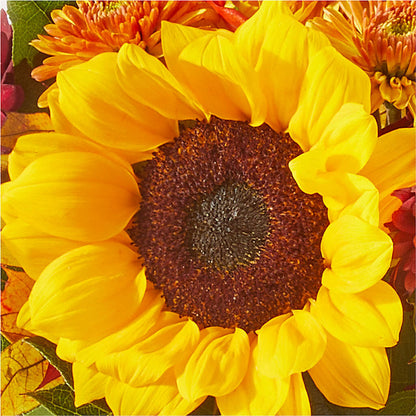 Sunny Side Bouquet – BLUEMOON FLORAL & GIFT, Denver CO