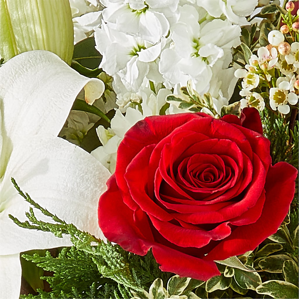 Twinkle Lights Bouquet – BLUEMOON FLORAL & GIFT, Denver CO