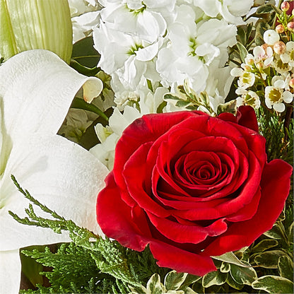 Twinkle Lights Bouquet – BLUEMOON FLORAL & GIFT, Denver CO