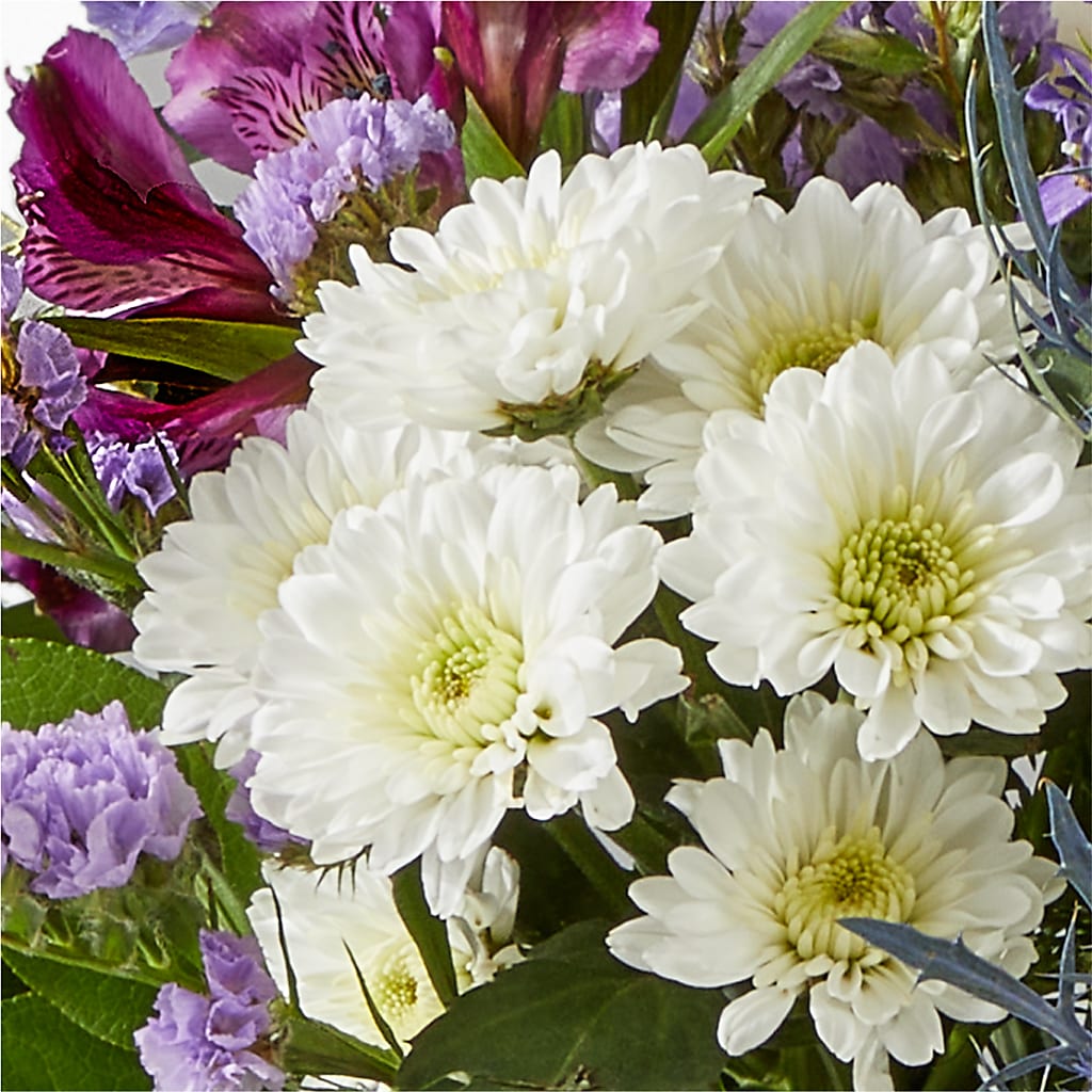Shooting Star Bouquet – BLUEMOON FLORAL & GIFT, Denver CO