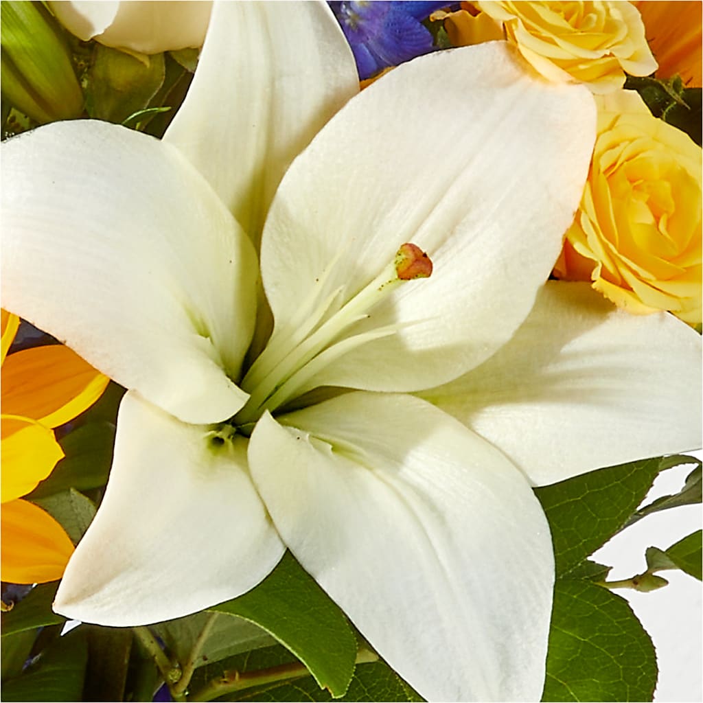 Wonderfully Sunny Bouquet – BLUEMOON FLORAL & GIFT, Denver CO