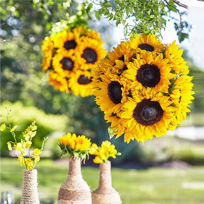 Sublime Garden Hanging Arrangement – BLUEMOON FLORAL & GIFT, Denver CO